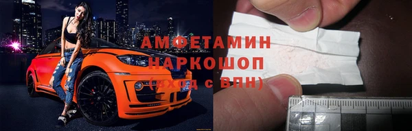 ECSTASY Алзамай