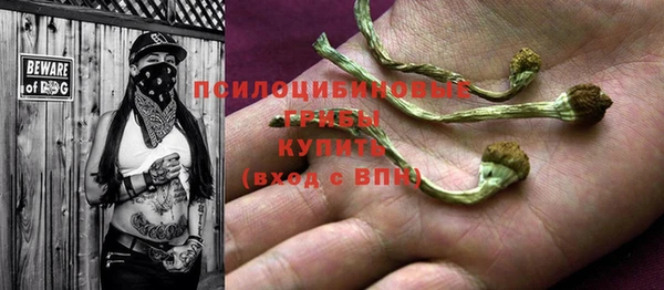 ECSTASY Алзамай