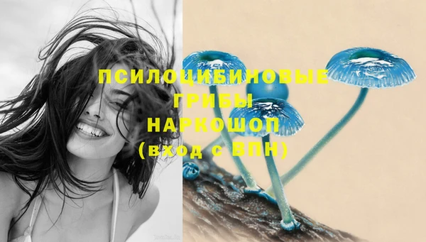 тгк Кодинск